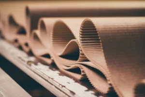 Customized eco-friendly packaging solutions for e-commerce brands.
