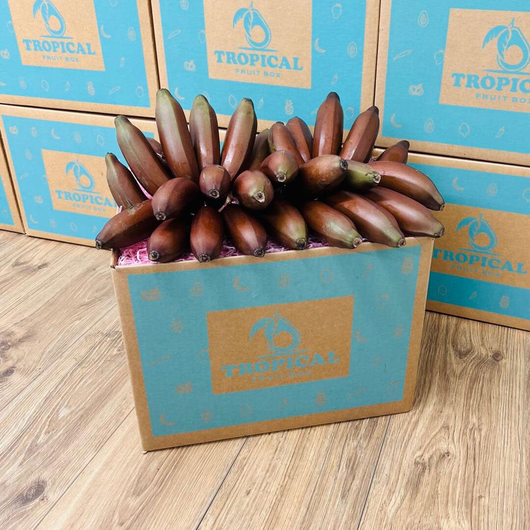 Banana Boxes: Supporting Global Trade from Farm to Market