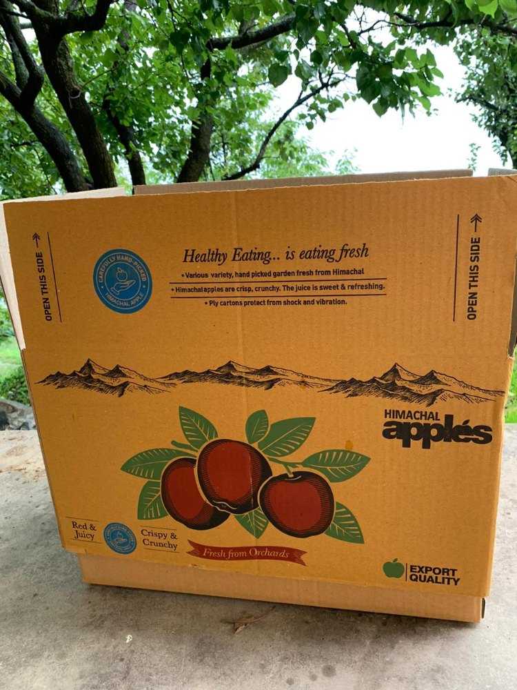 sustainable apple cartons for fruit export