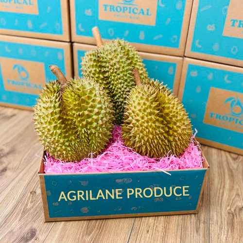 durian color box, Durian Carton Boxes