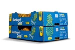 heavy duty pineapple export packaging boxes