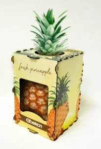 custom printed pineapple packaging cartons
