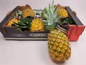 custom printed pineapple packaging cartons