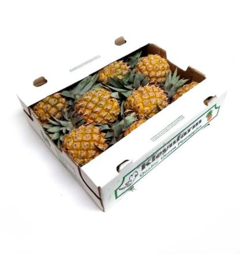ventilated pineapple shipping boxes