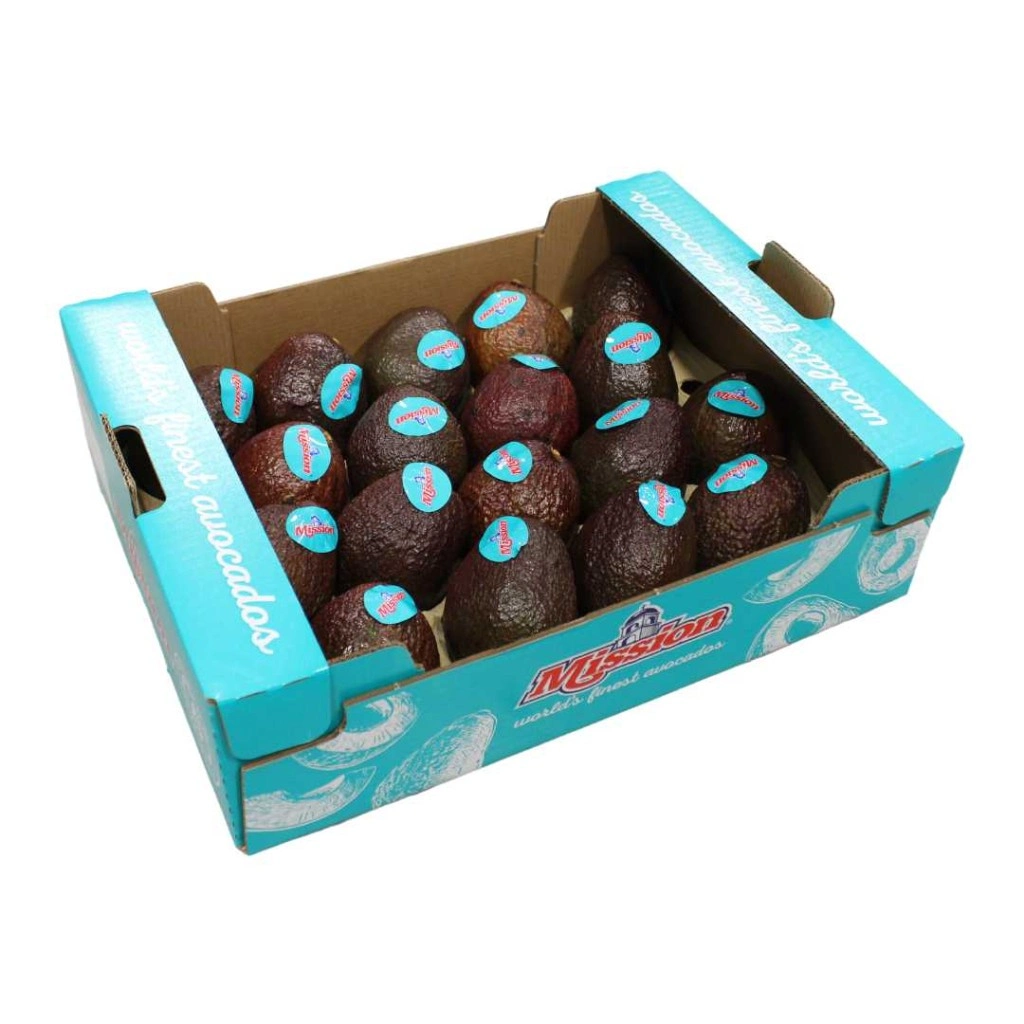 "avocado export cartons for cold chain shipping"