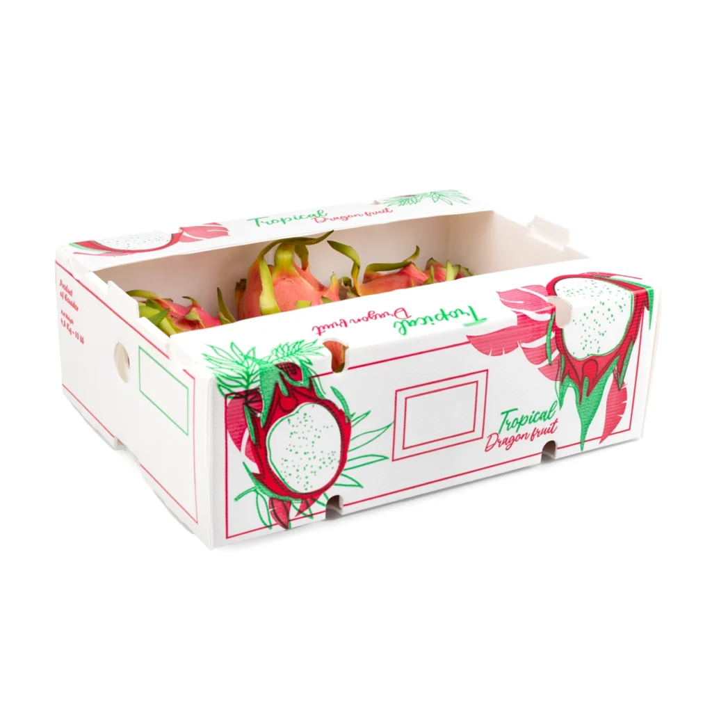 dragon fruit packaging boxes for export