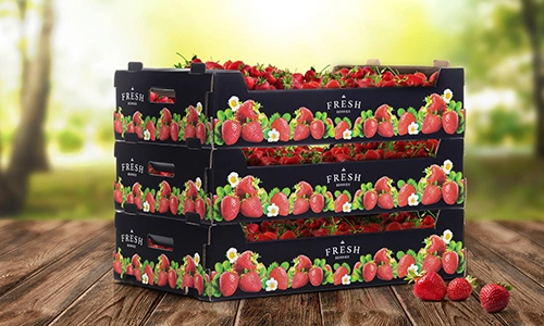 strawberry packaging boxes for export shipping